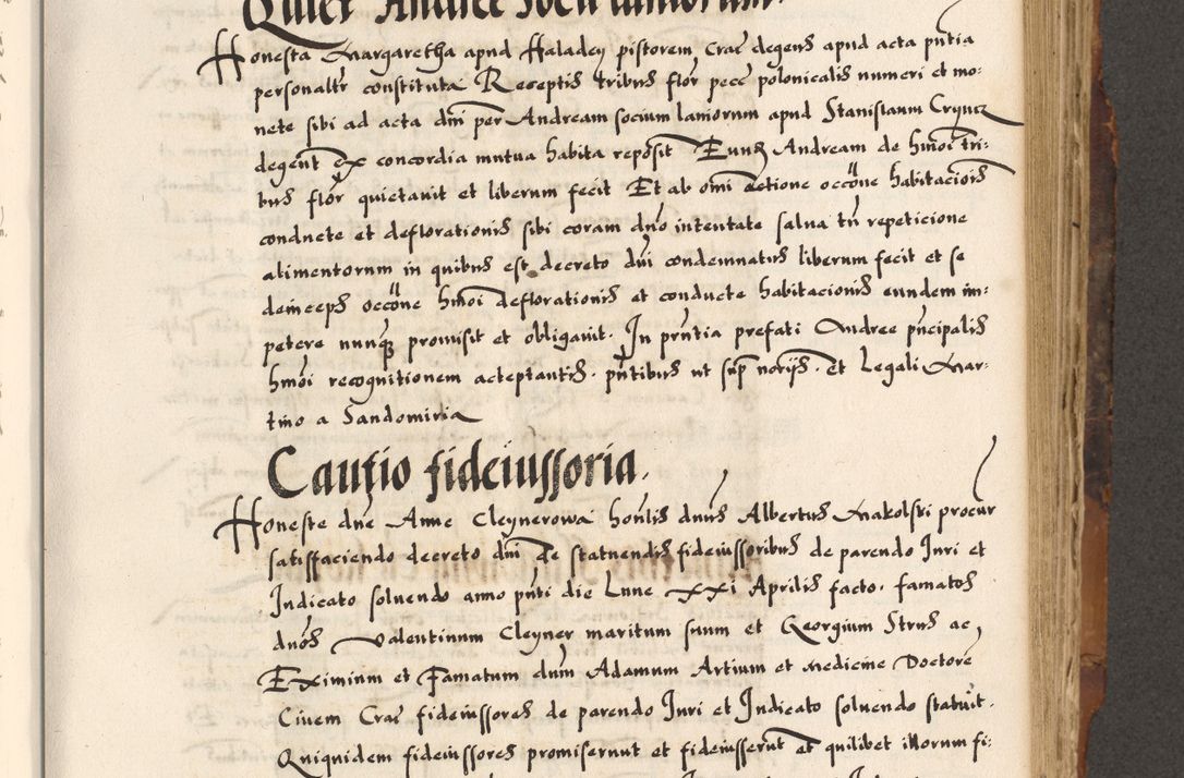 Zdjęcie nr 221 dla obiektu archiwalnego: Acta causarum, obligacionum, sentenciarum tam interlocutoriarum quam diffinitivarum constitutionumque coram reverendo patre domino Petro Porembski canonico et officiali generali Cracoviensi de anno Domini millesimo quingentesimo quadragesimo nono, cuius indictio septima, pontificatus sanctissimi in Christo patris et domini nostri domini Pauli divina providencia tercii, anno ipsius nacionis Pauli pape terciii die tercia mensis Novembris inchoatur