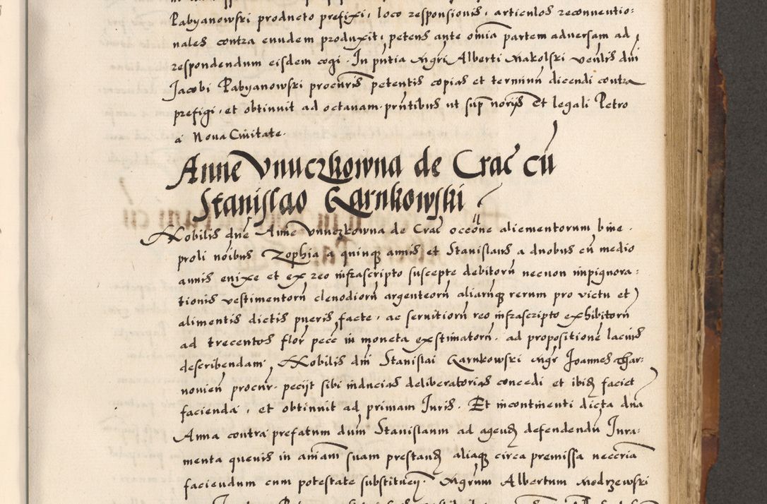 Zdjęcie nr 230 dla obiektu archiwalnego: Acta causarum, obligacionum, sentenciarum tam interlocutoriarum quam diffinitivarum constitutionumque coram reverendo patre domino Petro Porembski canonico et officiali generali Cracoviensi de anno Domini millesimo quingentesimo quadragesimo nono, cuius indictio septima, pontificatus sanctissimi in Christo patris et domini nostri domini Pauli divina providencia tercii, anno ipsius nacionis Pauli pape terciii die tercia mensis Novembris inchoatur