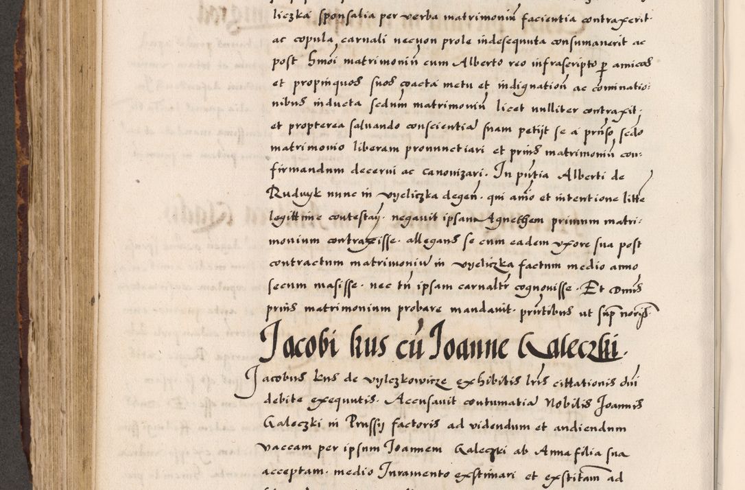 Zdjęcie nr 255 dla obiektu archiwalnego: Acta causarum, obligacionum, sentenciarum tam interlocutoriarum quam diffinitivarum constitutionumque coram reverendo patre domino Petro Porembski canonico et officiali generali Cracoviensi de anno Domini millesimo quingentesimo quadragesimo nono, cuius indictio septima, pontificatus sanctissimi in Christo patris et domini nostri domini Pauli divina providencia tercii, anno ipsius nacionis Pauli pape terciii die tercia mensis Novembris inchoatur
