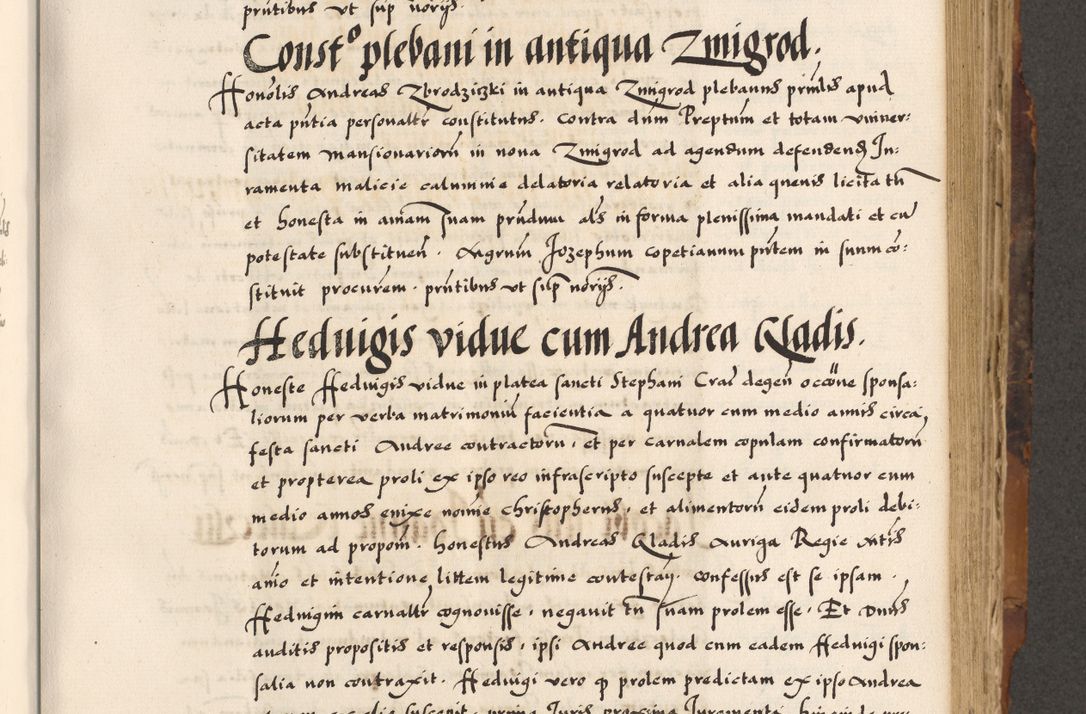 Zdjęcie nr 256 dla obiektu archiwalnego: Acta causarum, obligacionum, sentenciarum tam interlocutoriarum quam diffinitivarum constitutionumque coram reverendo patre domino Petro Porembski canonico et officiali generali Cracoviensi de anno Domini millesimo quingentesimo quadragesimo nono, cuius indictio septima, pontificatus sanctissimi in Christo patris et domini nostri domini Pauli divina providencia tercii, anno ipsius nacionis Pauli pape terciii die tercia mensis Novembris inchoatur