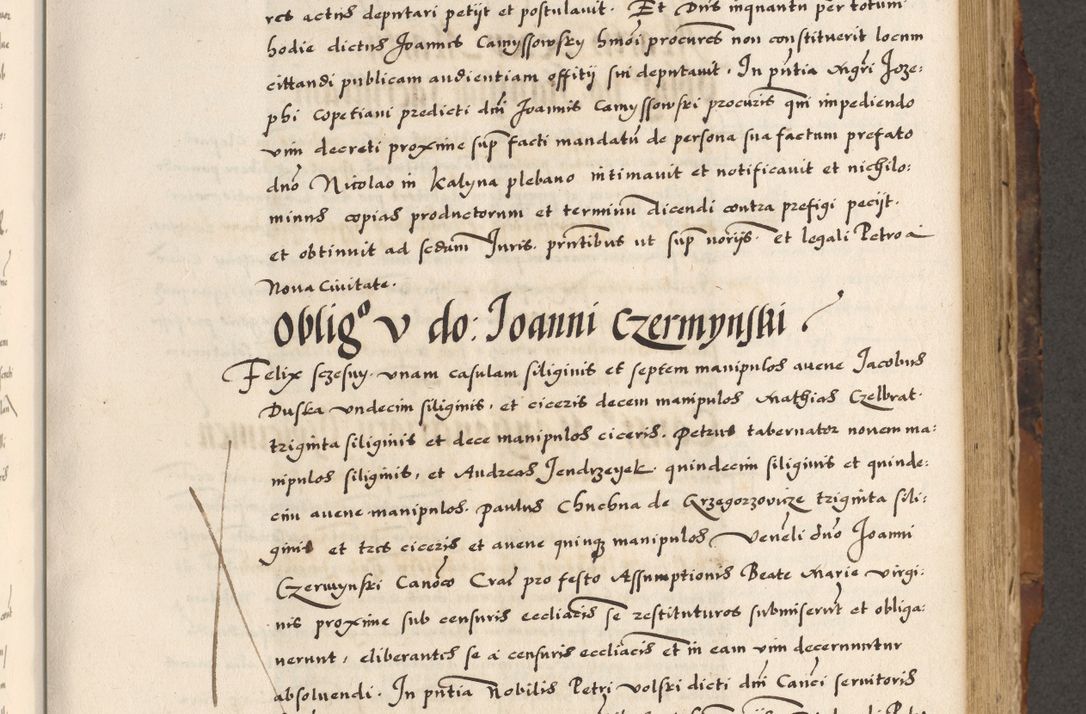 Zdjęcie nr 317 dla obiektu archiwalnego: Acta causarum, obligacionum, sentenciarum tam interlocutoriarum quam diffinitivarum constitutionumque coram reverendo patre domino Petro Porembski canonico et officiali generali Cracoviensi de anno Domini millesimo quingentesimo quadragesimo nono, cuius indictio septima, pontificatus sanctissimi in Christo patris et domini nostri domini Pauli divina providencia tercii, anno ipsius nacionis Pauli pape terciii die tercia mensis Novembris inchoatur
