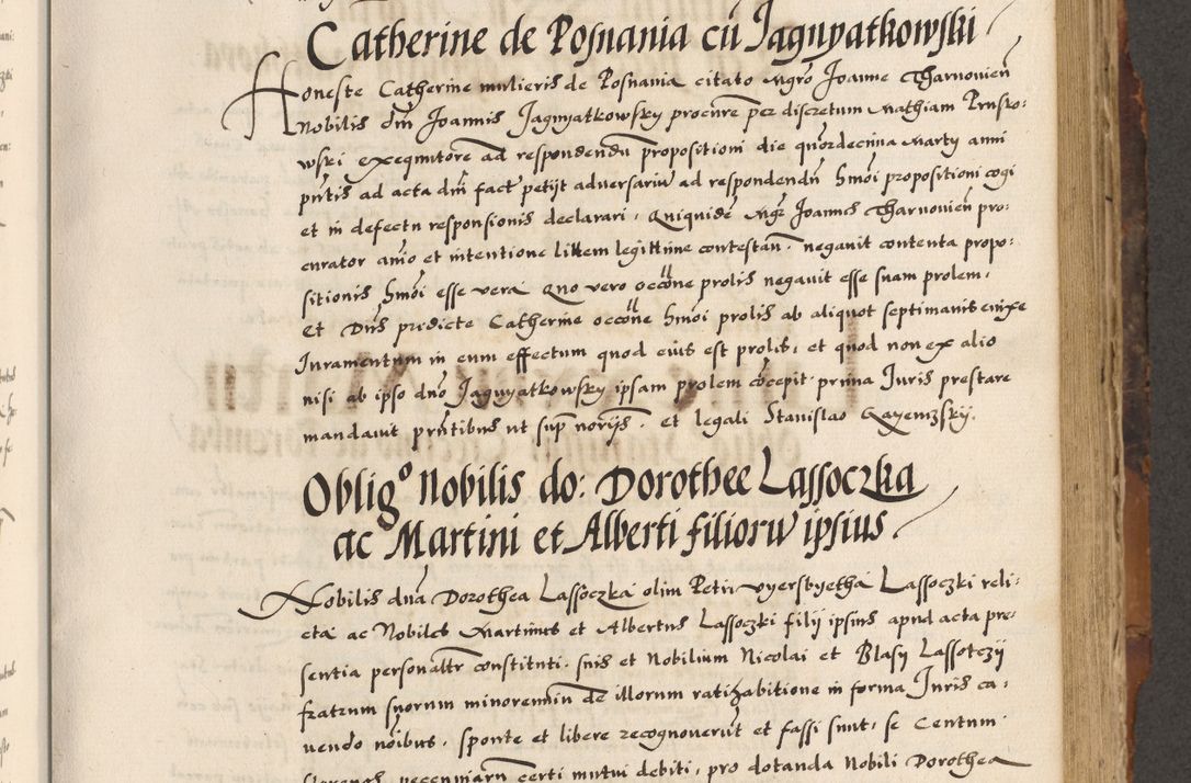 Zdjęcie nr 325 dla obiektu archiwalnego: Acta causarum, obligacionum, sentenciarum tam interlocutoriarum quam diffinitivarum constitutionumque coram reverendo patre domino Petro Porembski canonico et officiali generali Cracoviensi de anno Domini millesimo quingentesimo quadragesimo nono, cuius indictio septima, pontificatus sanctissimi in Christo patris et domini nostri domini Pauli divina providencia tercii, anno ipsius nacionis Pauli pape terciii die tercia mensis Novembris inchoatur