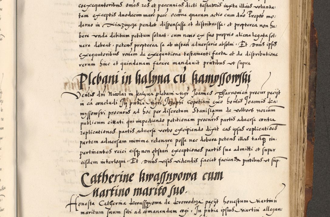Zdjęcie nr 484 dla obiektu archiwalnego: Acta causarum, obligacionum, sentenciarum tam interlocutoriarum quam diffinitivarum constitutionumque coram reverendo patre domino Petro Porembski canonico et officiali generali Cracoviensi de anno Domini millesimo quingentesimo quadragesimo nono, cuius indictio septima, pontificatus sanctissimi in Christo patris et domini nostri domini Pauli divina providencia tercii, anno ipsius nacionis Pauli pape terciii die tercia mensis Novembris inchoatur