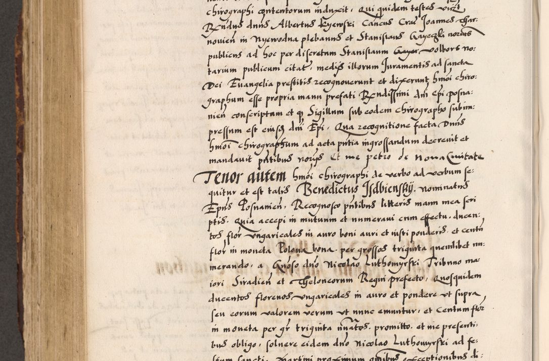 Zdjęcie nr 482 dla obiektu archiwalnego: Acta causarum, obligacionum, sentenciarum tam interlocutoriarum quam diffinitivarum constitutionumque coram reverendo patre domino Petro Porembski canonico et officiali generali Cracoviensi de anno Domini millesimo quingentesimo quadragesimo nono, cuius indictio septima, pontificatus sanctissimi in Christo patris et domini nostri domini Pauli divina providencia tercii, anno ipsius nacionis Pauli pape terciii die tercia mensis Novembris inchoatur
