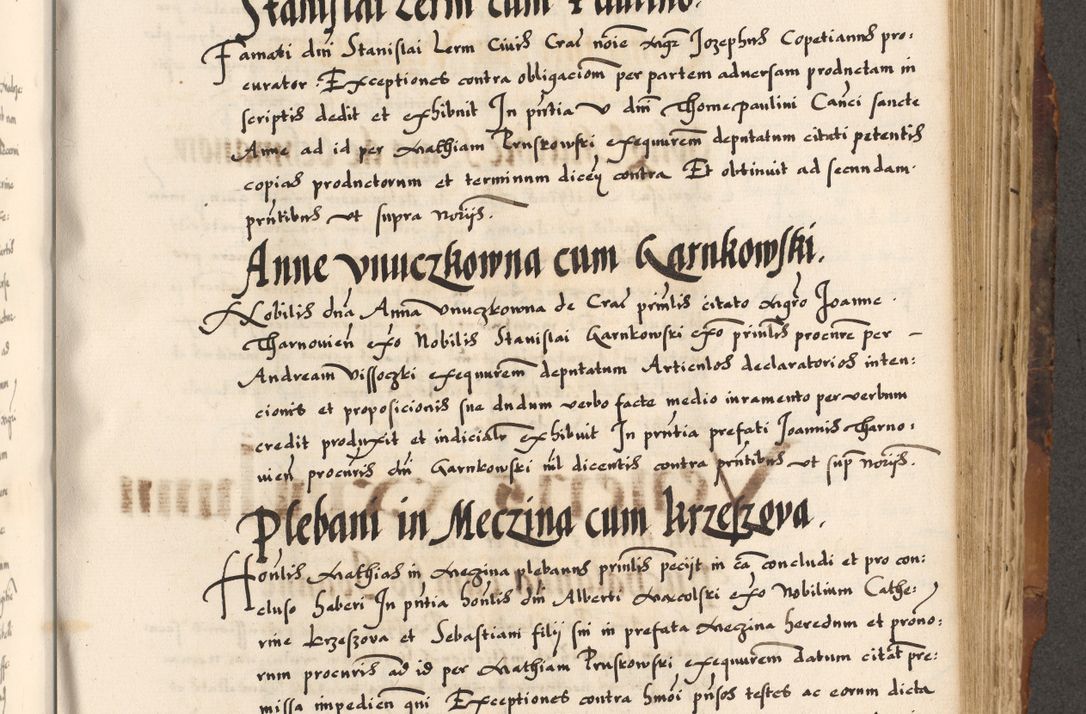 Zdjęcie nr 530 dla obiektu archiwalnego: Acta causarum, obligacionum, sentenciarum tam interlocutoriarum quam diffinitivarum constitutionumque coram reverendo patre domino Petro Porembski canonico et officiali generali Cracoviensi de anno Domini millesimo quingentesimo quadragesimo nono, cuius indictio septima, pontificatus sanctissimi in Christo patris et domini nostri domini Pauli divina providencia tercii, anno ipsius nacionis Pauli pape terciii die tercia mensis Novembris inchoatur