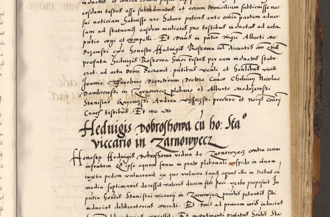 Zdjęcie nr 547 dla obiektu archiwalnego: Acta causarum, obligacionum, sentenciarum tam interlocutoriarum quam diffinitivarum constitutionumque coram reverendo patre domino Petro Porembski canonico et officiali generali Cracoviensi de anno Domini millesimo quingentesimo quadragesimo nono, cuius indictio septima, pontificatus sanctissimi in Christo patris et domini nostri domini Pauli divina providencia tercii, anno ipsius nacionis Pauli pape terciii die tercia mensis Novembris inchoatur