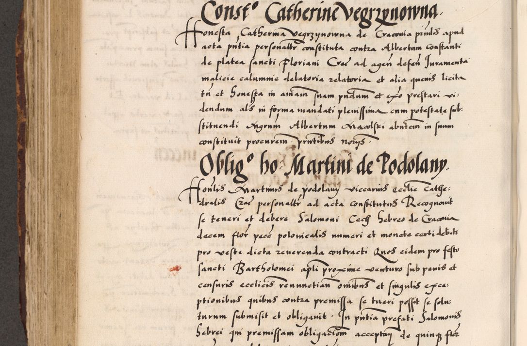 Zdjęcie nr 548 dla obiektu archiwalnego: Acta causarum, obligacionum, sentenciarum tam interlocutoriarum quam diffinitivarum constitutionumque coram reverendo patre domino Petro Porembski canonico et officiali generali Cracoviensi de anno Domini millesimo quingentesimo quadragesimo nono, cuius indictio septima, pontificatus sanctissimi in Christo patris et domini nostri domini Pauli divina providencia tercii, anno ipsius nacionis Pauli pape terciii die tercia mensis Novembris inchoatur