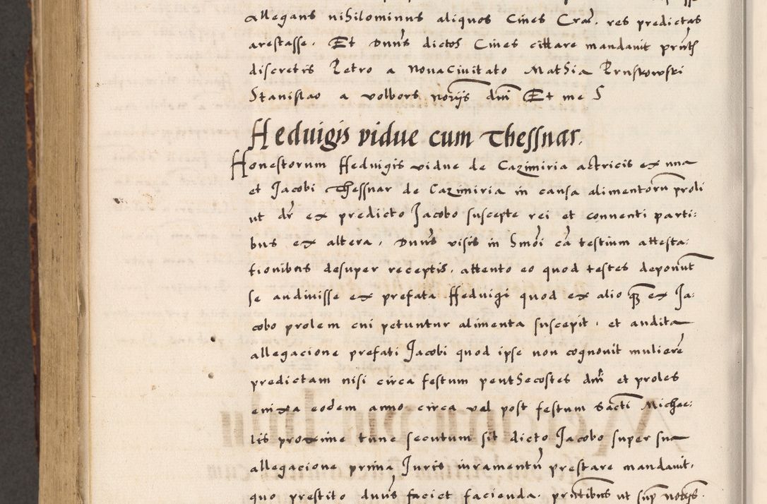 Zdjęcie nr 809 dla obiektu archiwalnego: Acta causarum, obligacionum, sentenciarum tam interlocutoriarum quam diffinitivarum constitutionumque coram reverendo patre domino Petro Porembski canonico et officiali generali Cracoviensi de anno Domini millesimo quingentesimo quadragesimo nono, cuius indictio septima, pontificatus sanctissimi in Christo patris et domini nostri domini Pauli divina providencia tercii, anno ipsius nacionis Pauli pape terciii die tercia mensis Novembris inchoatur