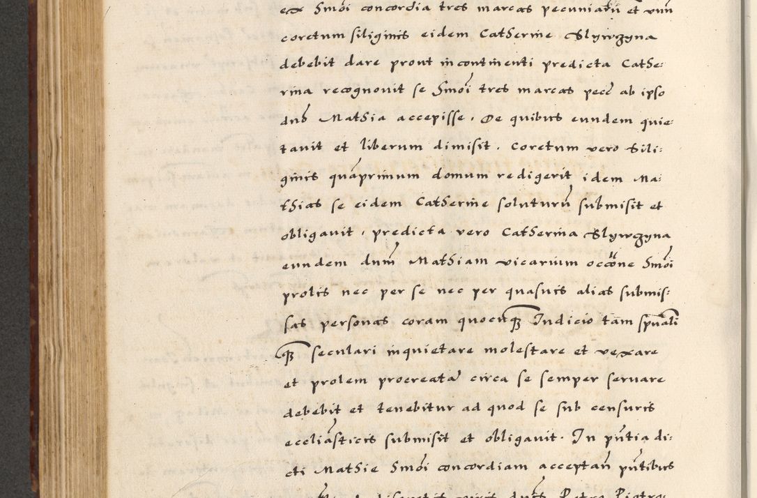Zdjęcie nr 388 dla obiektu archiwalnego: [A]cta actorum causarum, sententiarum tam diffinitivarum quam interloquutoriarum, obligationum, constitutionum et contractuum coram reverendo patre domino Petro Porembski preposito Osvieczimensi, canonico et officiali generali Cracoviensi de anno Domini millesimo quingentesimo quinguagesimo primo, cuius indictio est nona, pontificatus sanctissimi in Christo patris et domini nostri domini Juliii divina providencia pape tercii, anno secundo, a die et mense infrascriptis feliciter continiantur
