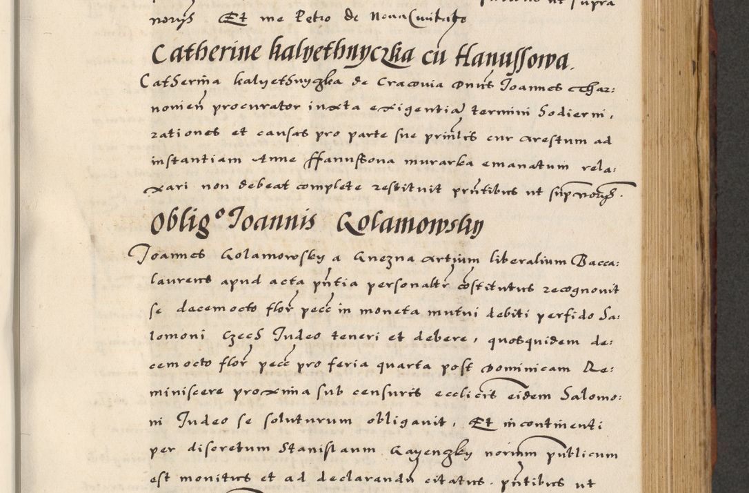 Zdjęcie nr 379 dla obiektu archiwalnego: [A]cta actorum causarum, sententiarum tam diffinitivarum quam interloquutoriarum, obligationum, constitutionum et contractuum coram reverendo patre domino Petro Porembski preposito Osvieczimensi, canonico et officiali generali Cracoviensi de anno Domini millesimo quingentesimo quinguagesimo primo, cuius indictio est nona, pontificatus sanctissimi in Christo patris et domini nostri domini Juliii divina providencia pape tercii, anno secundo, a die et mense infrascriptis feliciter continiantur