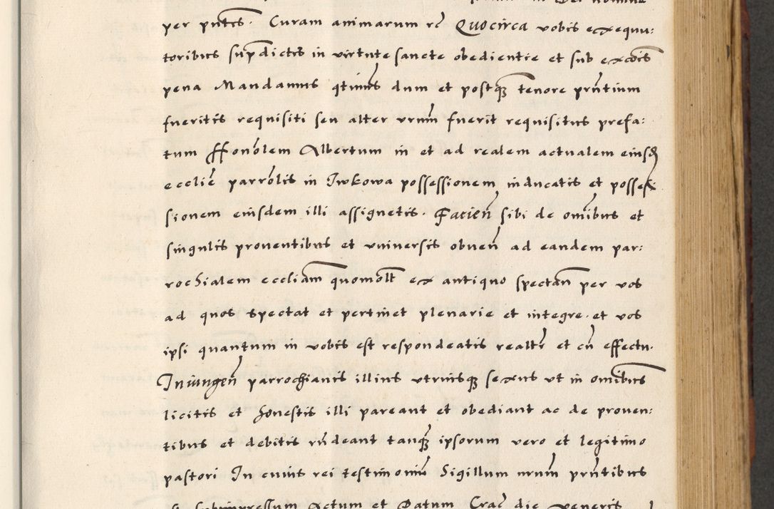 Zdjęcie nr 305 dla obiektu archiwalnego: [A]cta actorum causarum, sententiarum tam diffinitivarum quam interloquutoriarum, obligationum, constitutionum et contractuum coram reverendo patre domino Petro Porembski preposito Osvieczimensi, canonico et officiali generali Cracoviensi de anno Domini millesimo quingentesimo quinguagesimo primo, cuius indictio est nona, pontificatus sanctissimi in Christo patris et domini nostri domini Juliii divina providencia pape tercii, anno secundo, a die et mense infrascriptis feliciter continiantur