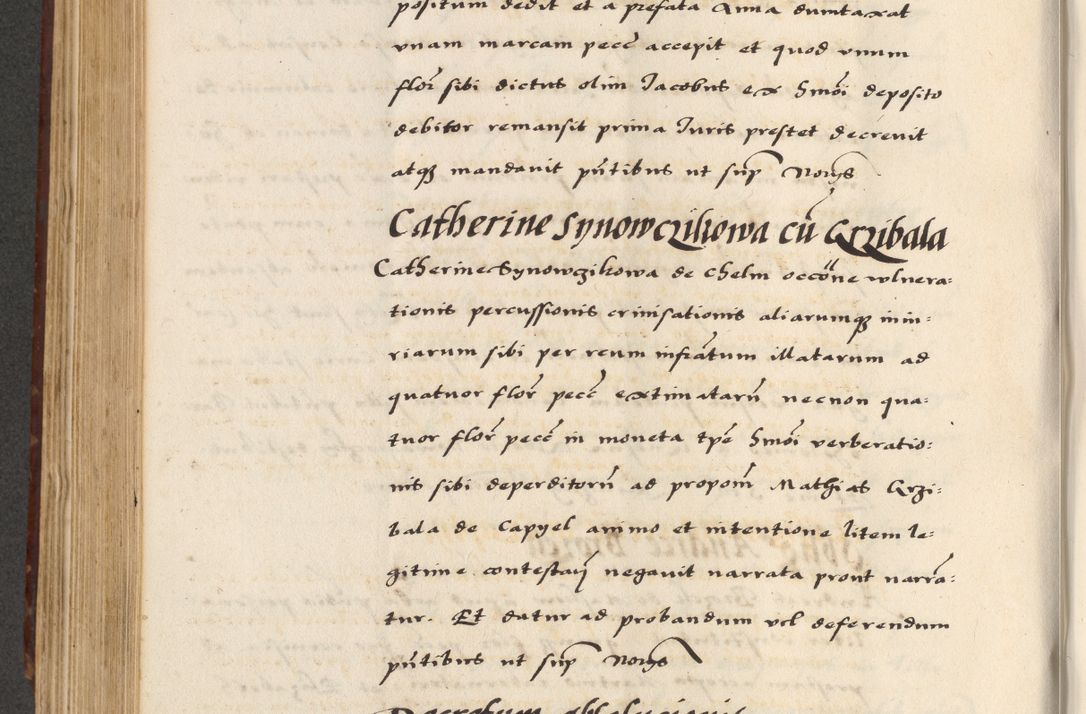 Zdjęcie nr 498 dla obiektu archiwalnego: [A]cta actorum causarum, sententiarum tam diffinitivarum quam interloquutoriarum, obligationum, constitutionum et contractuum coram reverendo patre domino Petro Porembski preposito Osvieczimensi, canonico et officiali generali Cracoviensi de anno Domini millesimo quingentesimo quinguagesimo primo, cuius indictio est nona, pontificatus sanctissimi in Christo patris et domini nostri domini Juliii divina providencia pape tercii, anno secundo, a die et mense infrascriptis feliciter continiantur