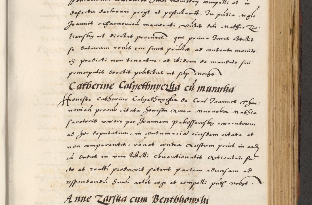 Zdjęcie nr 469 dla obiektu archiwalnego: [A]cta actorum causarum, sententiarum tam diffinitivarum quam interloquutoriarum, obligationum, constitutionum et contractuum coram reverendo patre domino Petro Porembski preposito Osvieczimensi, canonico et officiali generali Cracoviensi de anno Domini millesimo quingentesimo quinguagesimo primo, cuius indictio est nona, pontificatus sanctissimi in Christo patris et domini nostri domini Juliii divina providencia pape tercii, anno secundo, a die et mense infrascriptis feliciter continiantur