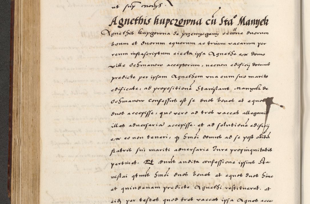 Zdjęcie nr 456 dla obiektu archiwalnego: [A]cta actorum causarum, sententiarum tam diffinitivarum quam interloquutoriarum, obligationum, constitutionum et contractuum coram reverendo patre domino Petro Porembski preposito Osvieczimensi, canonico et officiali generali Cracoviensi de anno Domini millesimo quingentesimo quinguagesimo primo, cuius indictio est nona, pontificatus sanctissimi in Christo patris et domini nostri domini Juliii divina providencia pape tercii, anno secundo, a die et mense infrascriptis feliciter continiantur