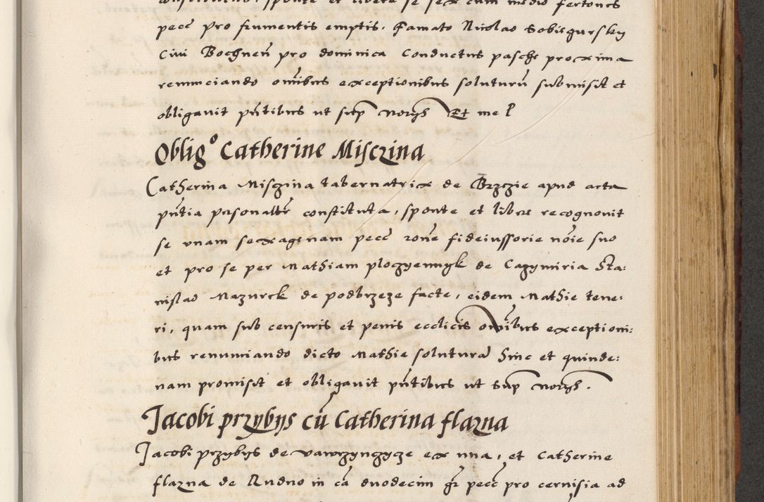 Zdjęcie nr 443 dla obiektu archiwalnego: [A]cta actorum causarum, sententiarum tam diffinitivarum quam interloquutoriarum, obligationum, constitutionum et contractuum coram reverendo patre domino Petro Porembski preposito Osvieczimensi, canonico et officiali generali Cracoviensi de anno Domini millesimo quingentesimo quinguagesimo primo, cuius indictio est nona, pontificatus sanctissimi in Christo patris et domini nostri domini Juliii divina providencia pape tercii, anno secundo, a die et mense infrascriptis feliciter continiantur