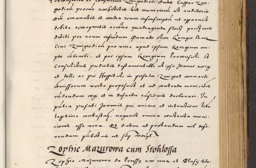 Zdjęcie nr 421 dla obiektu archiwalnego: [A]cta actorum causarum, sententiarum tam diffinitivarum quam interloquutoriarum, obligationum, constitutionum et contractuum coram reverendo patre domino Petro Porembski preposito Osvieczimensi, canonico et officiali generali Cracoviensi de anno Domini millesimo quingentesimo quinguagesimo primo, cuius indictio est nona, pontificatus sanctissimi in Christo patris et domini nostri domini Juliii divina providencia pape tercii, anno secundo, a die et mense infrascriptis feliciter continiantur