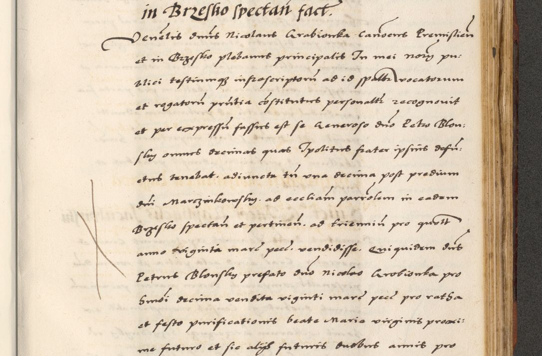 Zdjęcie nr 743 dla obiektu archiwalnego: [A]cta actorum causarum, sententiarum tam diffinitivarum quam interloquutoriarum, obligationum, constitutionum et contractuum coram reverendo patre domino Petro Porembski preposito Osvieczimensi, canonico et officiali generali Cracoviensi de anno Domini millesimo quingentesimo quinguagesimo primo, cuius indictio est nona, pontificatus sanctissimi in Christo patris et domini nostri domini Juliii divina providencia pape tercii, anno secundo, a die et mense infrascriptis feliciter continiantur