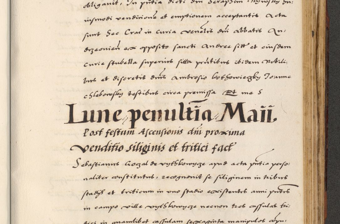Zdjęcie nr 721 dla obiektu archiwalnego: [A]cta actorum causarum, sententiarum tam diffinitivarum quam interloquutoriarum, obligationum, constitutionum et contractuum coram reverendo patre domino Petro Porembski preposito Osvieczimensi, canonico et officiali generali Cracoviensi de anno Domini millesimo quingentesimo quinguagesimo primo, cuius indictio est nona, pontificatus sanctissimi in Christo patris et domini nostri domini Juliii divina providencia pape tercii, anno secundo, a die et mense infrascriptis feliciter continiantur