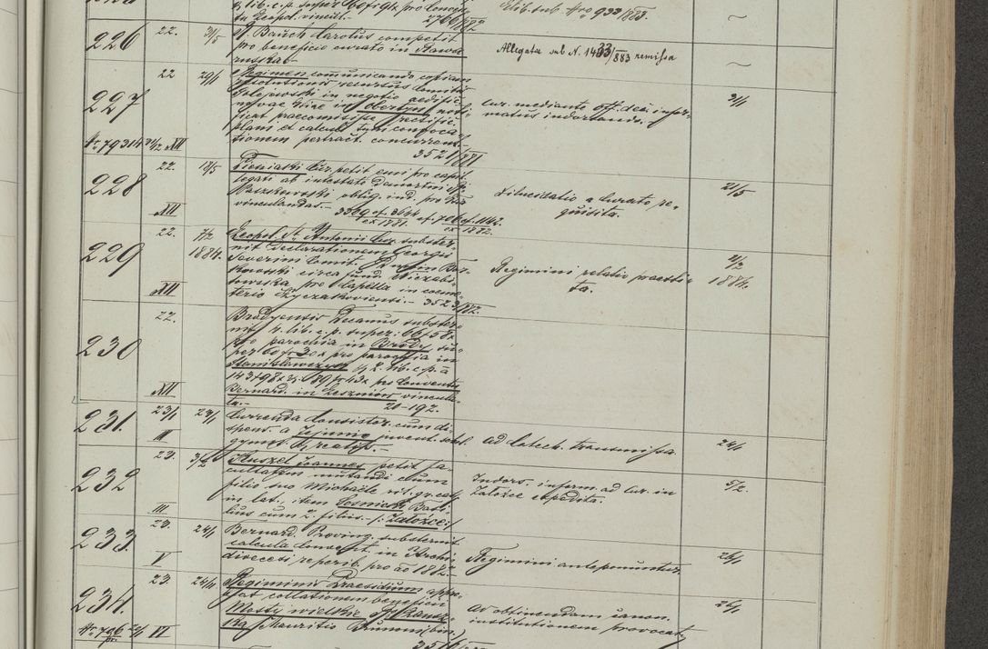 Zdjęcie nr 21 dla obiektu archiwalnego: Protocollon exhibitorum in Ecclesiasticis ex anno 1883-1884