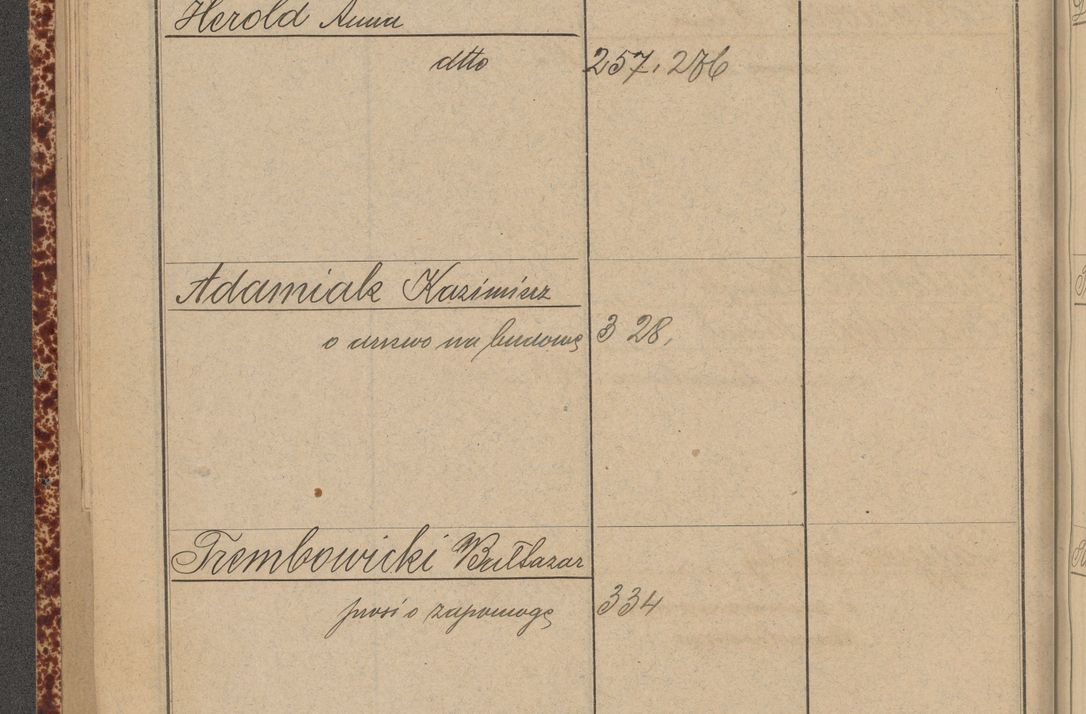 Zdjęcie nr 130 dla obiektu archiwalnego: Indeks 1908.