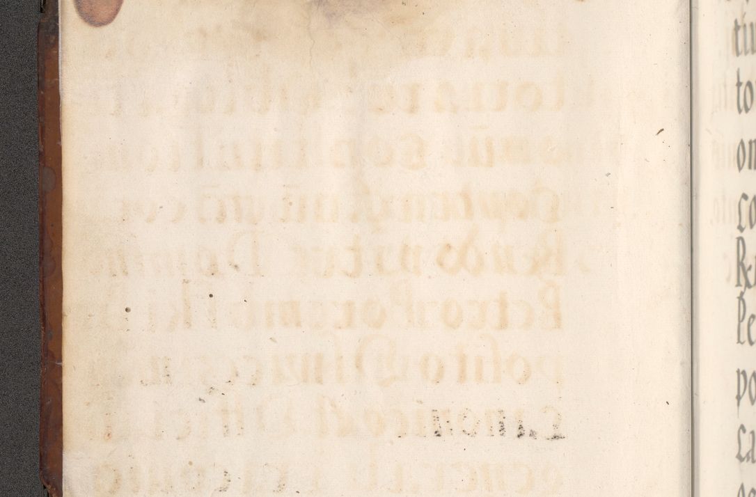 Zdjęcie nr 5 dla obiektu archiwalnego: Acta actorum causarum, sententiarum tam diffinitivarum quam interlocutoriam, obligationum, constitutionum, contractuum etc. coram reverendo patre domino Petro Porembski preposito Oswieczimensi, canonico et officiali Cracoviensi de anno Domini millesimo DºLº quarto, indictione duodecima, pontificatus sanctissimi in Christo patris et domini nostri domini Julii divina providencia papae eius nominis tercii, anno quarto, a die et mense infrasciptis continuantur