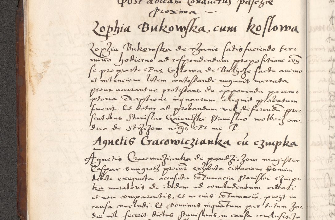 Zdjęcie nr 20 dla obiektu archiwalnego: Acta actorum causarum, sententiarum tam diffinitivarum quam interlocutoriam, obligationum, constitutionum, contractuum etc. coram reverendo patre domino Petro Porembski preposito Oswieczimensi, canonico et officiali Cracoviensi de anno Domini millesimo DºLº quarto, indictione duodecima, pontificatus sanctissimi in Christo patris et domini nostri domini Julii divina providencia papae eius nominis tercii, anno quarto, a die et mense infrasciptis continuantur