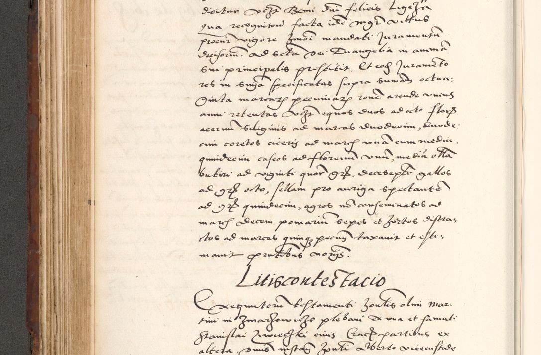 Zdjęcie nr 338 dla obiektu archiwalnego: Acta actorum causarum, sententiarum tam diffinitivarum quam interlocutoriam, obligationum, constitutionum, contractuum etc. coram reverendo patre domino Petro Porembski preposito Oswieczimensi, canonico et officiali Cracoviensi de anno Domini millesimo DºLº quarto, indictione duodecima, pontificatus sanctissimi in Christo patris et domini nostri domini Julii divina providencia papae eius nominis tercii, anno quarto, a die et mense infrasciptis continuantur