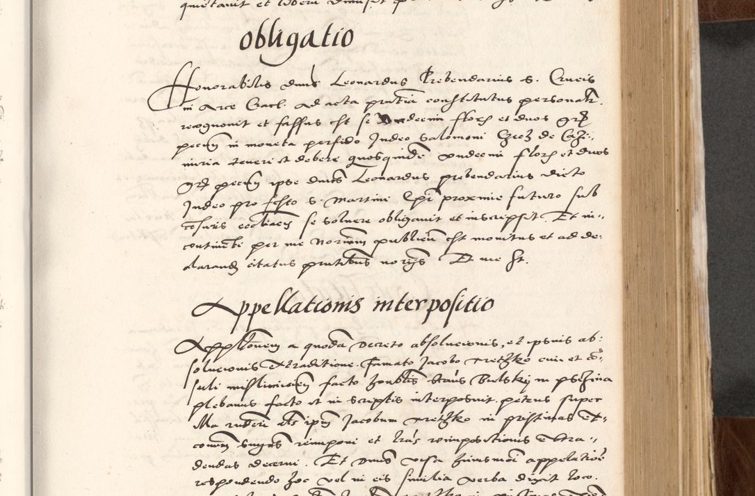 Zdjęcie nr 309 dla obiektu archiwalnego: Acta actorum causarum, sententiarum tam diffinitivarum quam interlocutoriam, obligationum, constitutionum, contractuum etc. coram reverendo patre domino Petro Porembski preposito Oswieczimensi, canonico et officiali Cracoviensi de anno Domini millesimo DºLº quarto, indictione duodecima, pontificatus sanctissimi in Christo patris et domini nostri domini Julii divina providencia papae eius nominis tercii, anno quarto, a die et mense infrasciptis continuantur