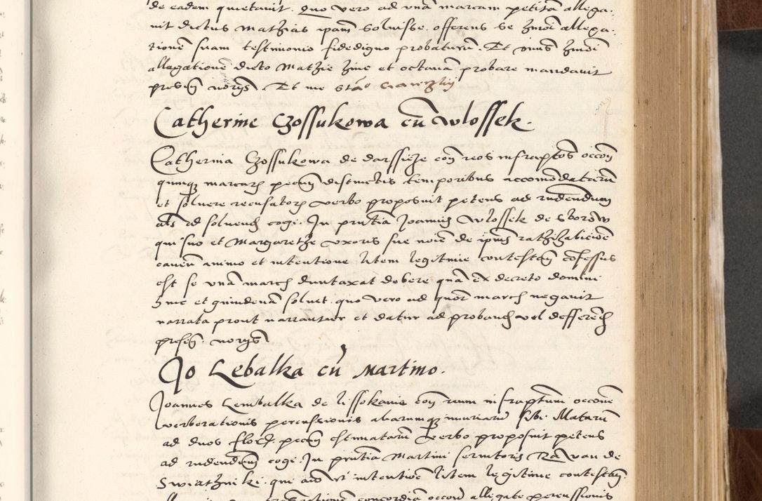 Zdjęcie nr 287 dla obiektu archiwalnego: Acta actorum causarum, sententiarum tam diffinitivarum quam interlocutoriam, obligationum, constitutionum, contractuum etc. coram reverendo patre domino Petro Porembski preposito Oswieczimensi, canonico et officiali Cracoviensi de anno Domini millesimo DºLº quarto, indictione duodecima, pontificatus sanctissimi in Christo patris et domini nostri domini Julii divina providencia papae eius nominis tercii, anno quarto, a die et mense infrasciptis continuantur