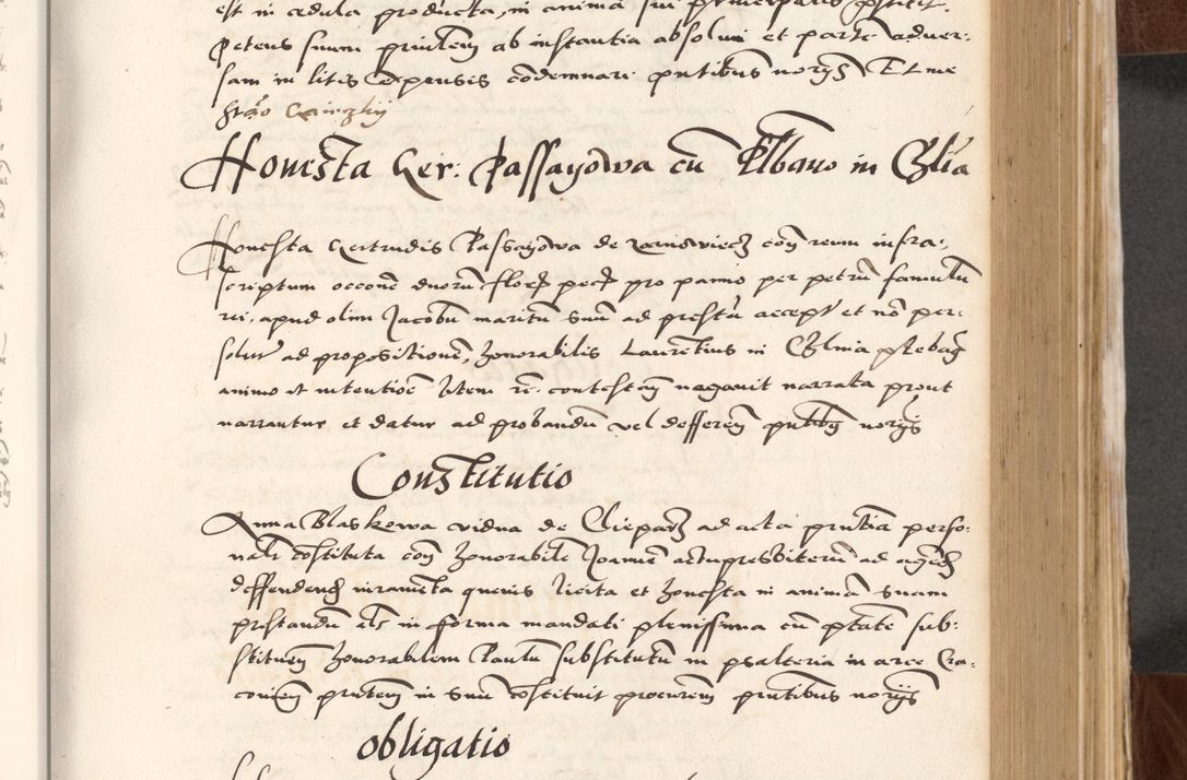 Zdjęcie nr 269 dla obiektu archiwalnego: Acta actorum causarum, sententiarum tam diffinitivarum quam interlocutoriam, obligationum, constitutionum, contractuum etc. coram reverendo patre domino Petro Porembski preposito Oswieczimensi, canonico et officiali Cracoviensi de anno Domini millesimo DºLº quarto, indictione duodecima, pontificatus sanctissimi in Christo patris et domini nostri domini Julii divina providencia papae eius nominis tercii, anno quarto, a die et mense infrasciptis continuantur