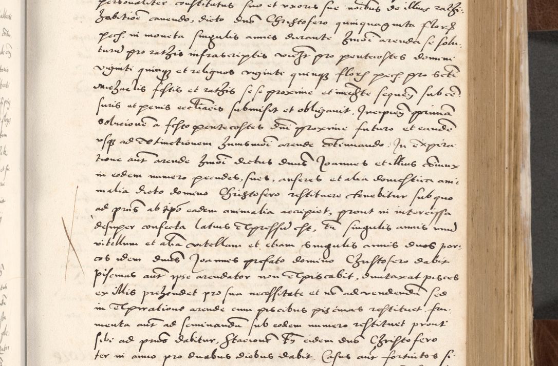 Zdjęcie nr 231 dla obiektu archiwalnego: Acta actorum causarum, sententiarum tam diffinitivarum quam interlocutoriam, obligationum, constitutionum, contractuum etc. coram reverendo patre domino Petro Porembski preposito Oswieczimensi, canonico et officiali Cracoviensi de anno Domini millesimo DºLº quarto, indictione duodecima, pontificatus sanctissimi in Christo patris et domini nostri domini Julii divina providencia papae eius nominis tercii, anno quarto, a die et mense infrasciptis continuantur