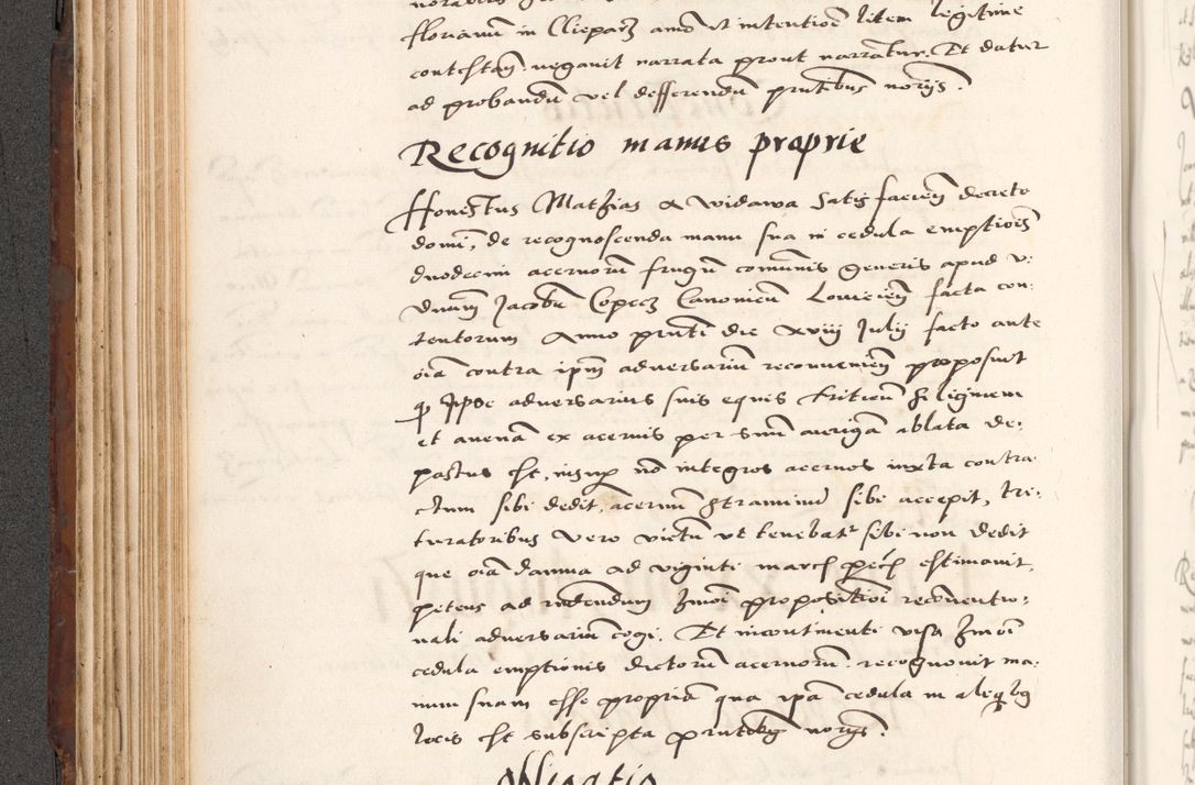 Zdjęcie nr 220 dla obiektu archiwalnego: Acta actorum causarum, sententiarum tam diffinitivarum quam interlocutoriam, obligationum, constitutionum, contractuum etc. coram reverendo patre domino Petro Porembski preposito Oswieczimensi, canonico et officiali Cracoviensi de anno Domini millesimo DºLº quarto, indictione duodecima, pontificatus sanctissimi in Christo patris et domini nostri domini Julii divina providencia papae eius nominis tercii, anno quarto, a die et mense infrasciptis continuantur