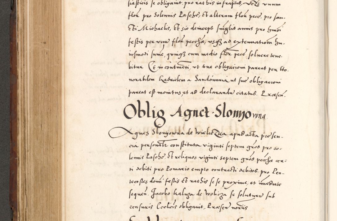 Zdjęcie nr 582 dla obiektu archiwalnego: Acta actorum causarum, sententiarum tam diffinitivarum quam interlocutoriam, obligationum, constitutionum, contractuum etc. coram reverendo patre domino Petro Porembski preposito Oswieczimensi, canonico et officiali Cracoviensi de anno Domini millesimo DºLº quarto, indictione duodecima, pontificatus sanctissimi in Christo patris et domini nostri domini Julii divina providencia papae eius nominis tercii, anno quarto, a die et mense infrasciptis continuantur