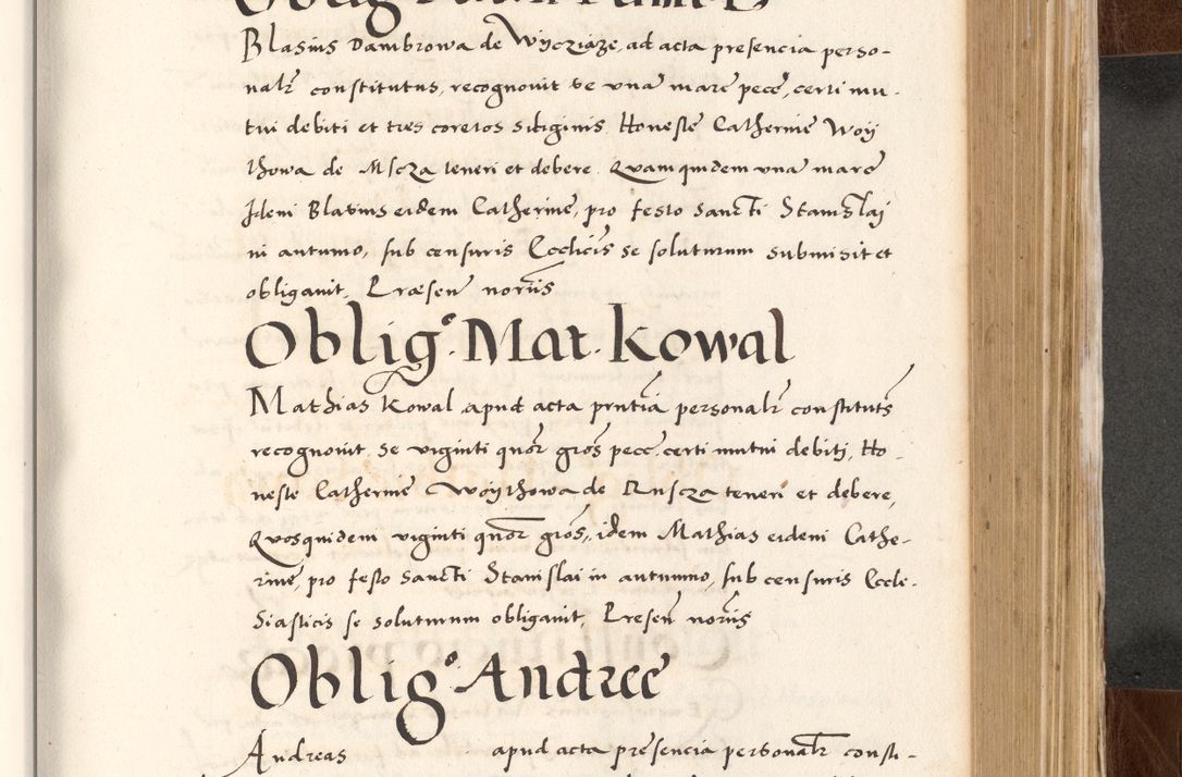 Zdjęcie nr 543 dla obiektu archiwalnego: Acta actorum causarum, sententiarum tam diffinitivarum quam interlocutoriam, obligationum, constitutionum, contractuum etc. coram reverendo patre domino Petro Porembski preposito Oswieczimensi, canonico et officiali Cracoviensi de anno Domini millesimo DºLº quarto, indictione duodecima, pontificatus sanctissimi in Christo patris et domini nostri domini Julii divina providencia papae eius nominis tercii, anno quarto, a die et mense infrasciptis continuantur