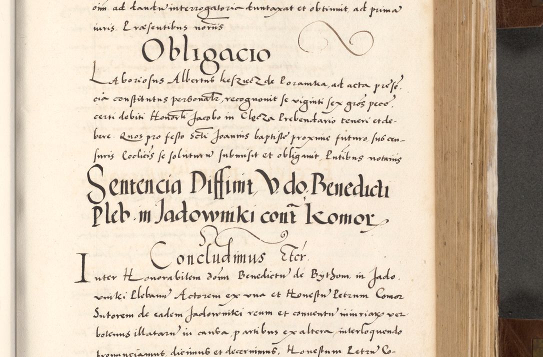 Zdjęcie nr 523 dla obiektu archiwalnego: Acta actorum causarum, sententiarum tam diffinitivarum quam interlocutoriam, obligationum, constitutionum, contractuum etc. coram reverendo patre domino Petro Porembski preposito Oswieczimensi, canonico et officiali Cracoviensi de anno Domini millesimo DºLº quarto, indictione duodecima, pontificatus sanctissimi in Christo patris et domini nostri domini Julii divina providencia papae eius nominis tercii, anno quarto, a die et mense infrasciptis continuantur