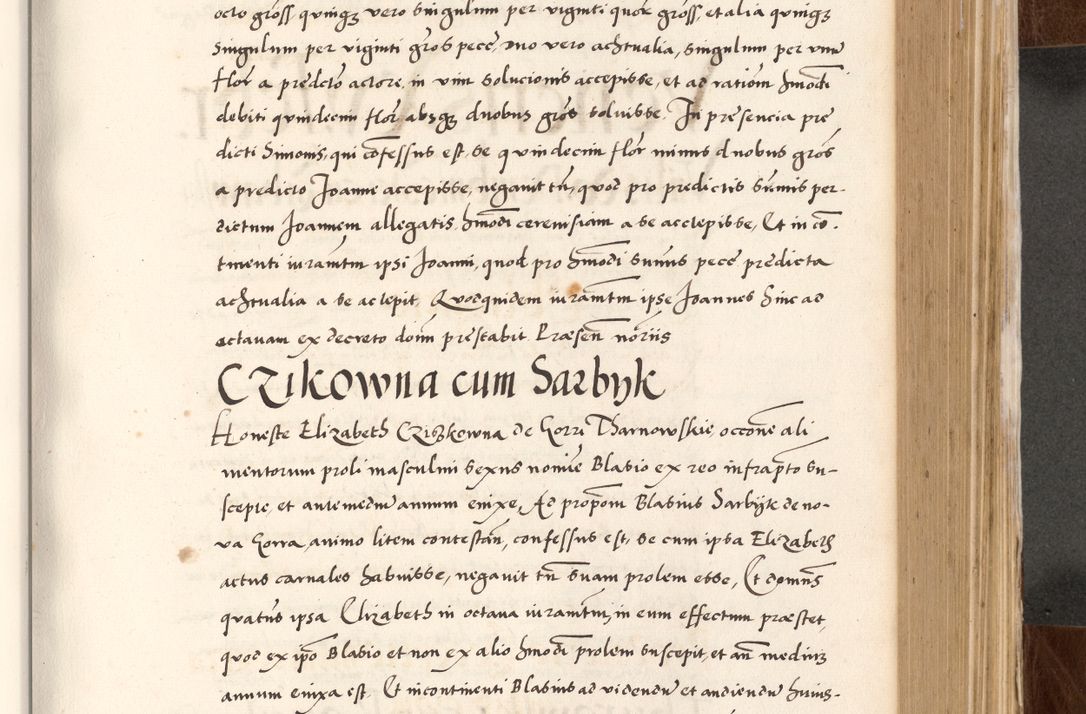 Zdjęcie nr 487 dla obiektu archiwalnego: Acta actorum causarum, sententiarum tam diffinitivarum quam interlocutoriam, obligationum, constitutionum, contractuum etc. coram reverendo patre domino Petro Porembski preposito Oswieczimensi, canonico et officiali Cracoviensi de anno Domini millesimo DºLº quarto, indictione duodecima, pontificatus sanctissimi in Christo patris et domini nostri domini Julii divina providencia papae eius nominis tercii, anno quarto, a die et mense infrasciptis continuantur