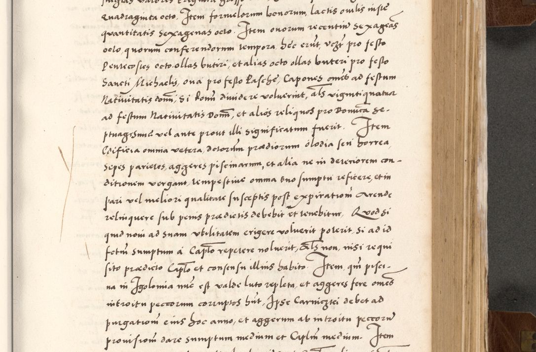 Zdjęcie nr 459 dla obiektu archiwalnego: Acta actorum causarum, sententiarum tam diffinitivarum quam interlocutoriam, obligationum, constitutionum, contractuum etc. coram reverendo patre domino Petro Porembski preposito Oswieczimensi, canonico et officiali Cracoviensi de anno Domini millesimo DºLº quarto, indictione duodecima, pontificatus sanctissimi in Christo patris et domini nostri domini Julii divina providencia papae eius nominis tercii, anno quarto, a die et mense infrasciptis continuantur