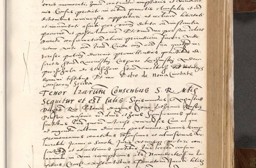 Zdjęcie nr 447 dla obiektu archiwalnego: Acta actorum causarum, sententiarum tam diffinitivarum quam interlocutoriam, obligationum, constitutionum, contractuum etc. coram reverendo patre domino Petro Porembski preposito Oswieczimensi, canonico et officiali Cracoviensi de anno Domini millesimo DºLº quarto, indictione duodecima, pontificatus sanctissimi in Christo patris et domini nostri domini Julii divina providencia papae eius nominis tercii, anno quarto, a die et mense infrasciptis continuantur