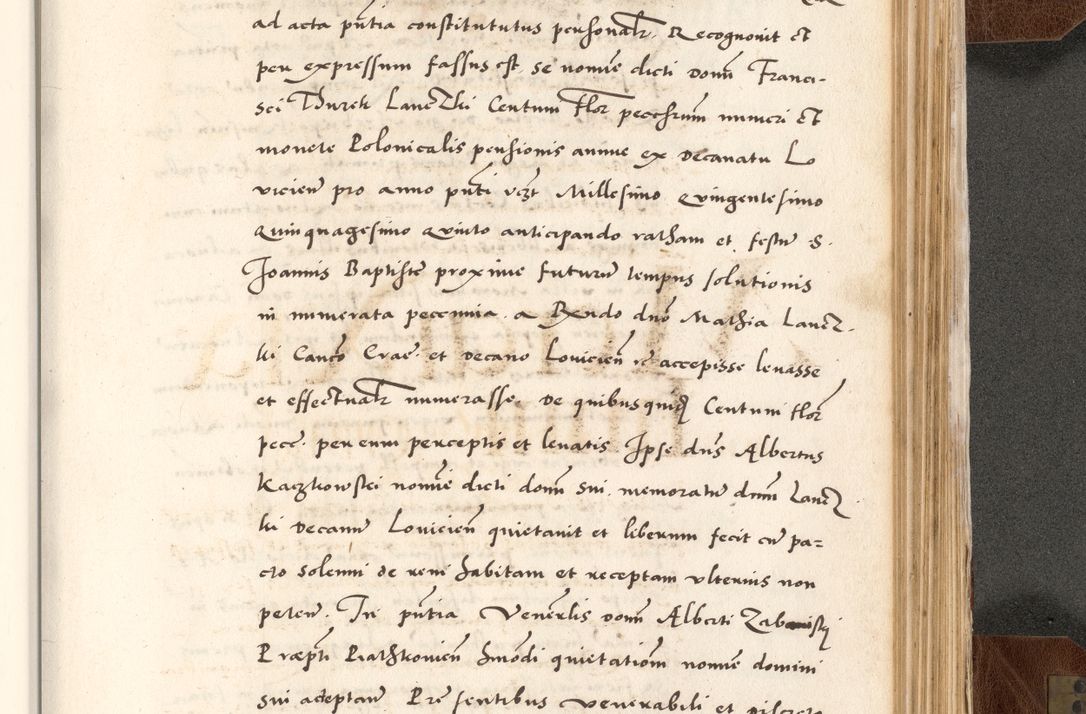 Zdjęcie nr 769 dla obiektu archiwalnego: Acta actorum causarum, sententiarum tam diffinitivarum quam interlocutoriam, obligationum, constitutionum, contractuum etc. coram reverendo patre domino Petro Porembski preposito Oswieczimensi, canonico et officiali Cracoviensi de anno Domini millesimo DºLº quarto, indictione duodecima, pontificatus sanctissimi in Christo patris et domini nostri domini Julii divina providencia papae eius nominis tercii, anno quarto, a die et mense infrasciptis continuantur