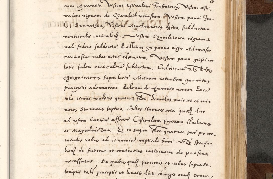 Zdjęcie nr 751 dla obiektu archiwalnego: Acta actorum causarum, sententiarum tam diffinitivarum quam interlocutoriam, obligationum, constitutionum, contractuum etc. coram reverendo patre domino Petro Porembski preposito Oswieczimensi, canonico et officiali Cracoviensi de anno Domini millesimo DºLº quarto, indictione duodecima, pontificatus sanctissimi in Christo patris et domini nostri domini Julii divina providencia papae eius nominis tercii, anno quarto, a die et mense infrasciptis continuantur