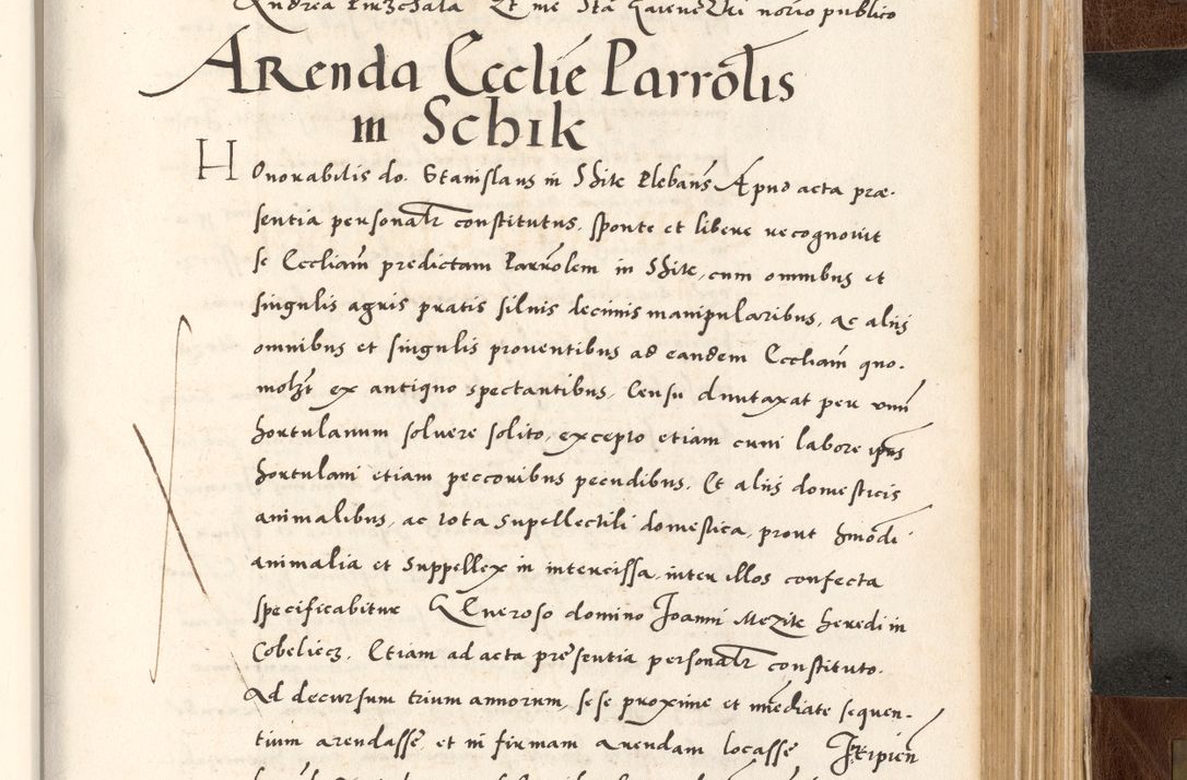 Zdjęcie nr 705 dla obiektu archiwalnego: Acta actorum causarum, sententiarum tam diffinitivarum quam interlocutoriam, obligationum, constitutionum, contractuum etc. coram reverendo patre domino Petro Porembski preposito Oswieczimensi, canonico et officiali Cracoviensi de anno Domini millesimo DºLº quarto, indictione duodecima, pontificatus sanctissimi in Christo patris et domini nostri domini Julii divina providencia papae eius nominis tercii, anno quarto, a die et mense infrasciptis continuantur