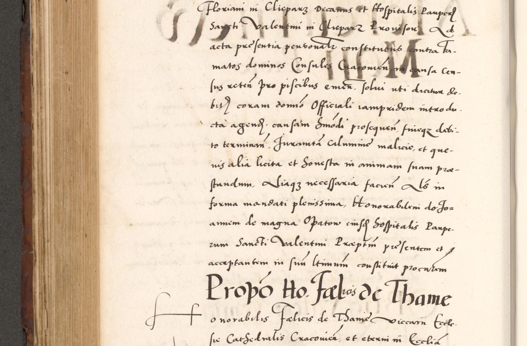 Zdjęcie nr 698 dla obiektu archiwalnego: Acta actorum causarum, sententiarum tam diffinitivarum quam interlocutoriam, obligationum, constitutionum, contractuum etc. coram reverendo patre domino Petro Porembski preposito Oswieczimensi, canonico et officiali Cracoviensi de anno Domini millesimo DºLº quarto, indictione duodecima, pontificatus sanctissimi in Christo patris et domini nostri domini Julii divina providencia papae eius nominis tercii, anno quarto, a die et mense infrasciptis continuantur
