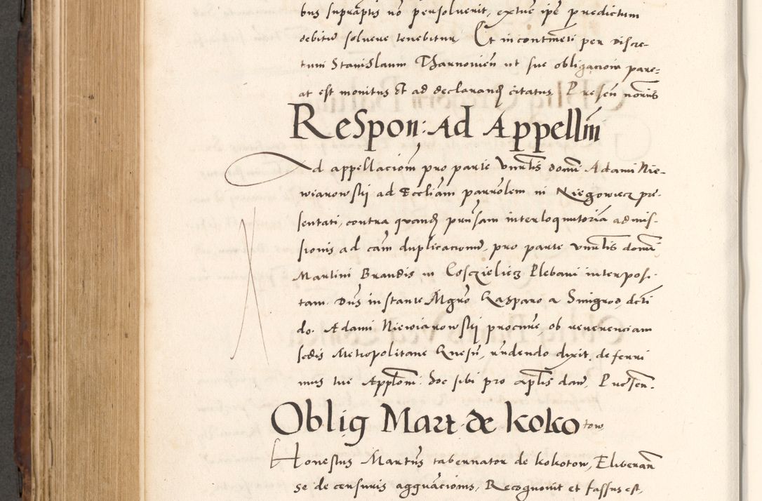 Zdjęcie nr 642 dla obiektu archiwalnego: Acta actorum causarum, sententiarum tam diffinitivarum quam interlocutoriam, obligationum, constitutionum, contractuum etc. coram reverendo patre domino Petro Porembski preposito Oswieczimensi, canonico et officiali Cracoviensi de anno Domini millesimo DºLº quarto, indictione duodecima, pontificatus sanctissimi in Christo patris et domini nostri domini Julii divina providencia papae eius nominis tercii, anno quarto, a die et mense infrasciptis continuantur