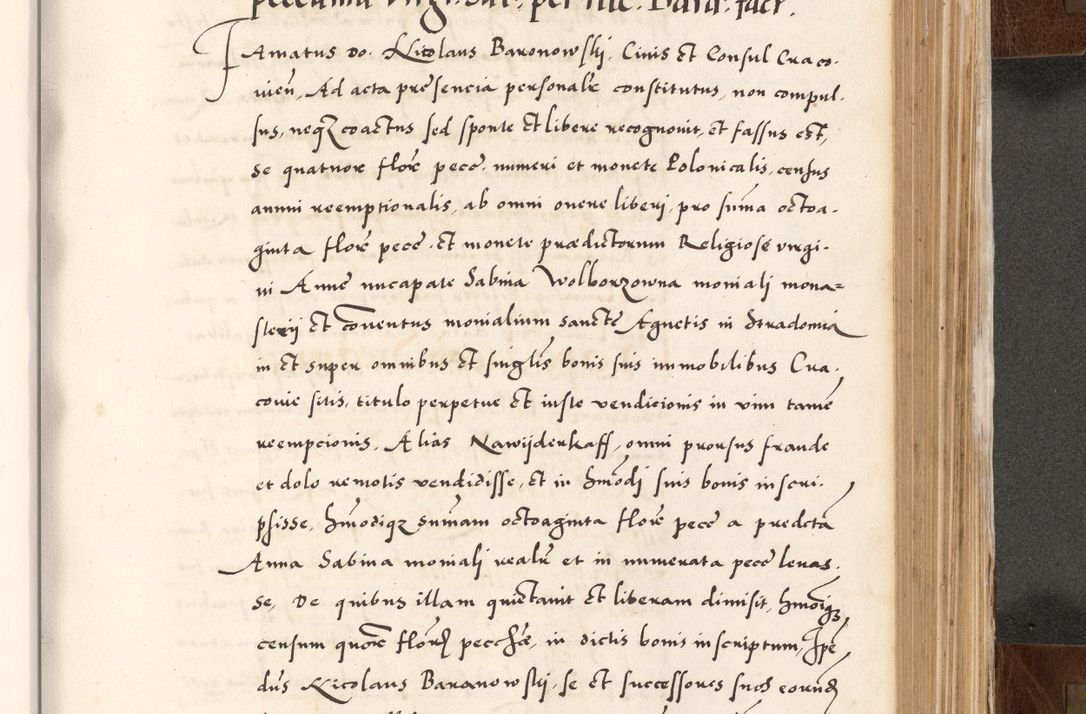 Zdjęcie nr 631 dla obiektu archiwalnego: Acta actorum causarum, sententiarum tam diffinitivarum quam interlocutoriam, obligationum, constitutionum, contractuum etc. coram reverendo patre domino Petro Porembski preposito Oswieczimensi, canonico et officiali Cracoviensi de anno Domini millesimo DºLº quarto, indictione duodecima, pontificatus sanctissimi in Christo patris et domini nostri domini Julii divina providencia papae eius nominis tercii, anno quarto, a die et mense infrasciptis continuantur