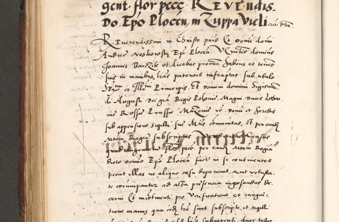 Zdjęcie nr 906 dla obiektu archiwalnego: Acta actorum causarum, sententiarum tam diffinitivarum quam interlocutoriam, obligationum, constitutionum, contractuum etc. coram reverendo patre domino Petro Porembski preposito Oswieczimensi, canonico et officiali Cracoviensi de anno Domini millesimo DºLº quarto, indictione duodecima, pontificatus sanctissimi in Christo patris et domini nostri domini Julii divina providencia papae eius nominis tercii, anno quarto, a die et mense infrasciptis continuantur
