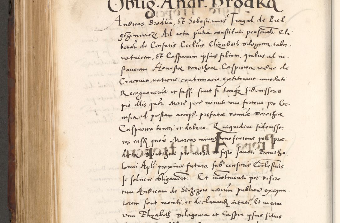 Zdjęcie nr 886 dla obiektu archiwalnego: Acta actorum causarum, sententiarum tam diffinitivarum quam interlocutoriam, obligationum, constitutionum, contractuum etc. coram reverendo patre domino Petro Porembski preposito Oswieczimensi, canonico et officiali Cracoviensi de anno Domini millesimo DºLº quarto, indictione duodecima, pontificatus sanctissimi in Christo patris et domini nostri domini Julii divina providencia papae eius nominis tercii, anno quarto, a die et mense infrasciptis continuantur