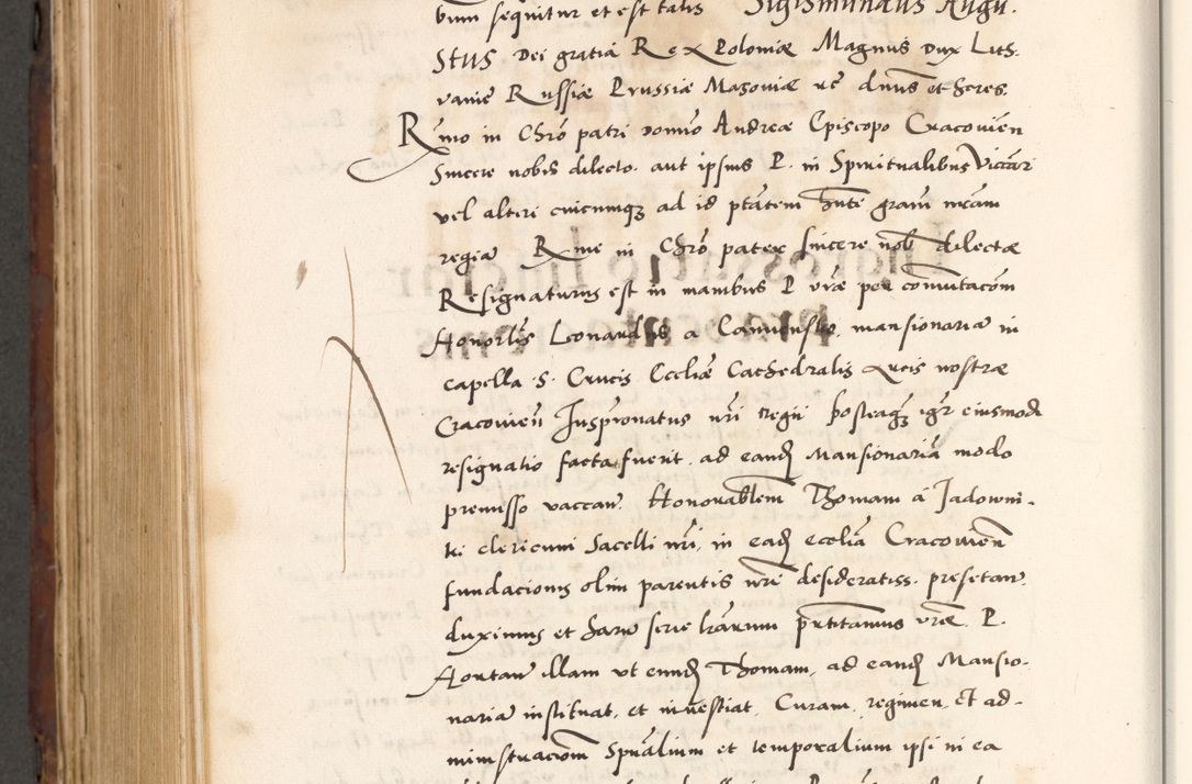 Zdjęcie nr 882 dla obiektu archiwalnego: Acta actorum causarum, sententiarum tam diffinitivarum quam interlocutoriam, obligationum, constitutionum, contractuum etc. coram reverendo patre domino Petro Porembski preposito Oswieczimensi, canonico et officiali Cracoviensi de anno Domini millesimo DºLº quarto, indictione duodecima, pontificatus sanctissimi in Christo patris et domini nostri domini Julii divina providencia papae eius nominis tercii, anno quarto, a die et mense infrasciptis continuantur