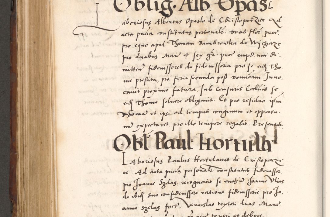 Zdjęcie nr 876 dla obiektu archiwalnego: Acta actorum causarum, sententiarum tam diffinitivarum quam interlocutoriam, obligationum, constitutionum, contractuum etc. coram reverendo patre domino Petro Porembski preposito Oswieczimensi, canonico et officiali Cracoviensi de anno Domini millesimo DºLº quarto, indictione duodecima, pontificatus sanctissimi in Christo patris et domini nostri domini Julii divina providencia papae eius nominis tercii, anno quarto, a die et mense infrasciptis continuantur