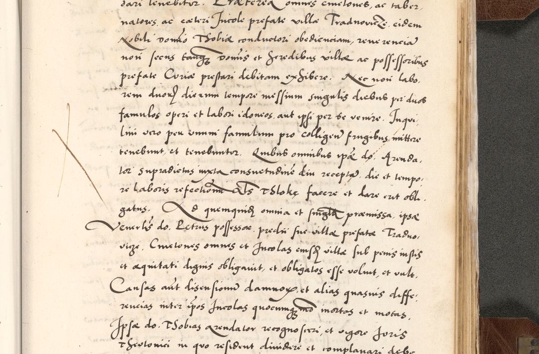Zdjęcie nr 873 dla obiektu archiwalnego: Acta actorum causarum, sententiarum tam diffinitivarum quam interlocutoriam, obligationum, constitutionum, contractuum etc. coram reverendo patre domino Petro Porembski preposito Oswieczimensi, canonico et officiali Cracoviensi de anno Domini millesimo DºLº quarto, indictione duodecima, pontificatus sanctissimi in Christo patris et domini nostri domini Julii divina providencia papae eius nominis tercii, anno quarto, a die et mense infrasciptis continuantur