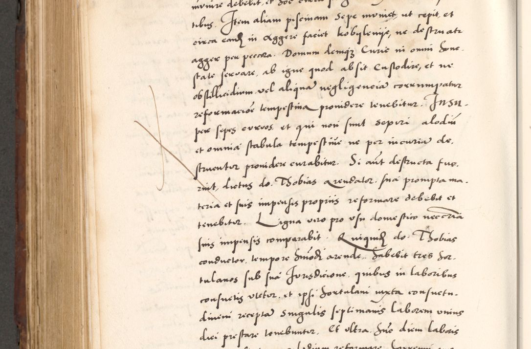 Zdjęcie nr 872 dla obiektu archiwalnego: Acta actorum causarum, sententiarum tam diffinitivarum quam interlocutoriam, obligationum, constitutionum, contractuum etc. coram reverendo patre domino Petro Porembski preposito Oswieczimensi, canonico et officiali Cracoviensi de anno Domini millesimo DºLº quarto, indictione duodecima, pontificatus sanctissimi in Christo patris et domini nostri domini Julii divina providencia papae eius nominis tercii, anno quarto, a die et mense infrasciptis continuantur